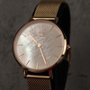 DANIEL WELLINGTON PETITE MELROSE DW00100516