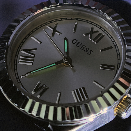 GUESS MINI LUNA GW0724L2