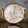 DANIEL WELLINGTON PETITE MELROSE DW00100516