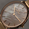 DANIEL WELLINGTON PETITE MELROSE DW00100516