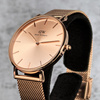 DANIEL WELLINGTON PETITE PRESSED ASHFIELD DW00100472
