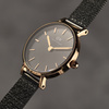 DANIEL WELLINGTON PETITE PRESSED ASHFIELD DW00100441 