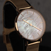DANIEL WELLINGTON PETITE MELROSE DW00100516