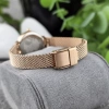 BERING CLASSIC 11022-364
