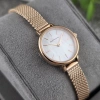 BERING CLASSIC 11022-364