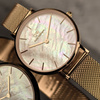 DANIEL WELLINGTON PETITE MELROSE DW00100516