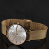 DANIEL WELLINGTON PETITE MELROSE DW00100516