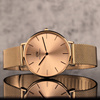 DANIEL WELLINGTON PETITE PRESSED ASHFIELD DW00100472