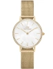 DANIEL WELLINGTON PETITE LUMINE DW00100662
